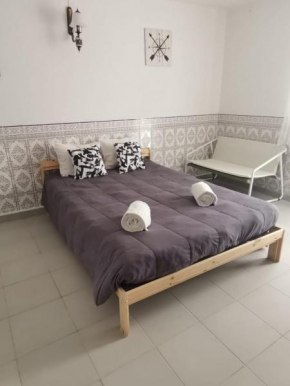 Bolinha Studio